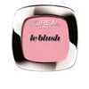 Poskipuna True Match L'Oreal Make Up