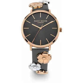 Sieviešu Pulkstenis Daisy Dixon DD160ERG (Ø 38 mm)