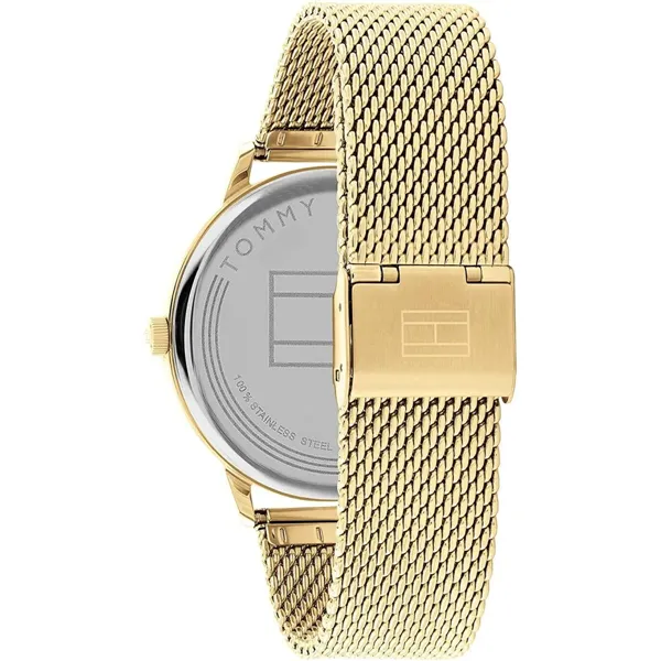 Мужские часы Tommy Hilfiger 1791877 (Ø 43 mm)