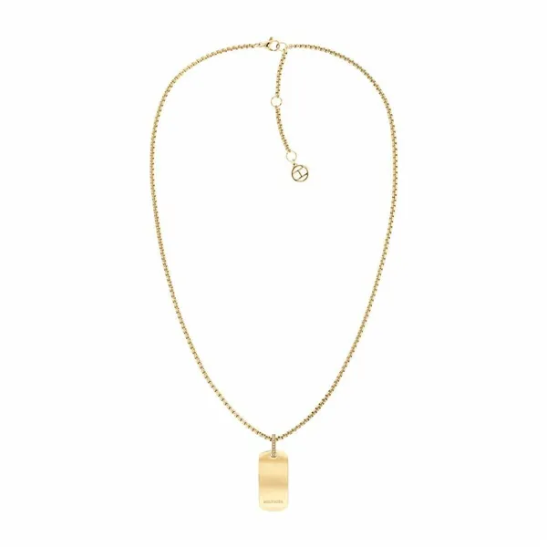 Ladies' Necklace Tommy Hilfiger 2780862 50 cm