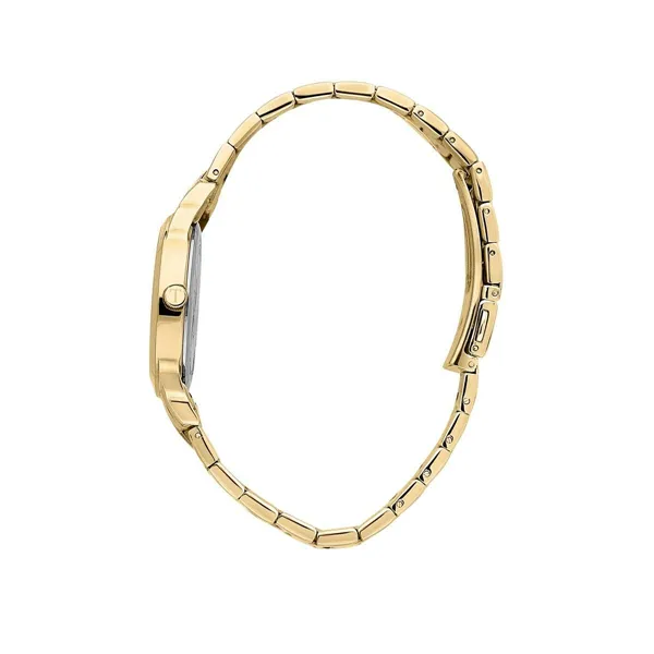 Ladies' Watch Trussardi R2453141507 (Ø 32 mm)