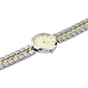 Laikrodis moterims Pierre Cardin CF.0707.SU.G (Ø 32 mm)