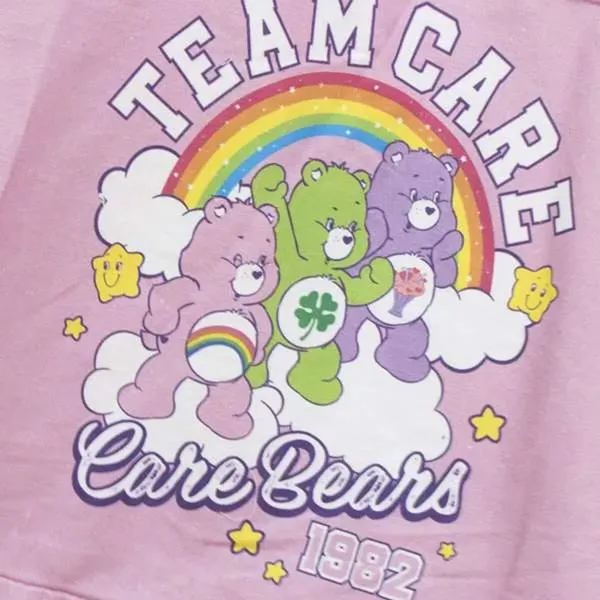 Kainoraštis 2016/2017 Care Bears Rožinė 48 x 43 x 17 cm