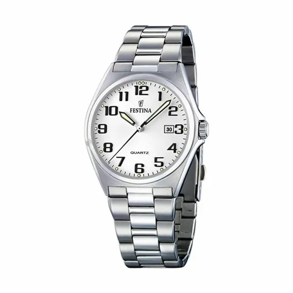 Мужские часы Festina F16374_9 Серебристый (Ø 40 mm)