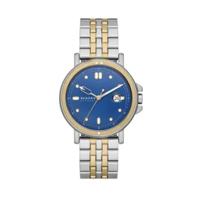 Vīriešu Pulkstenis Skagen SKW6921 Sudrabains (Ø 40 mm)