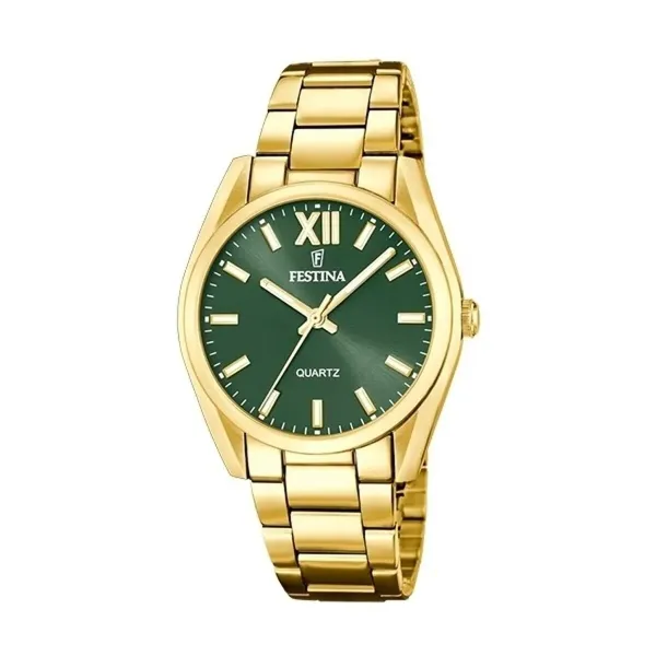 Мужские часы Festina F20640/4 Зеленый