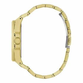 Naisten rannekellot Guess GW0700G1
