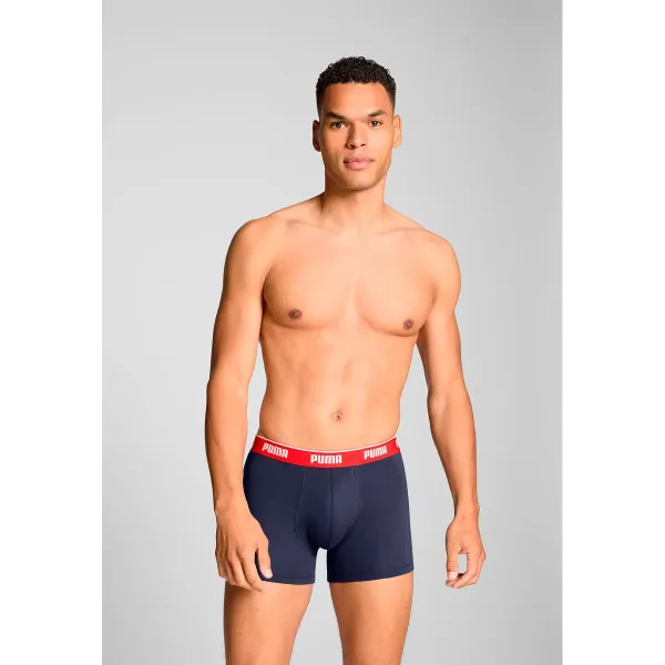 Vyriški apatiniai šortai Puma 701234187 005 Pilka 3 vnt.