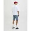 Vyriški Šortai Jack & Jones JJIRICK JJFOX SHORTS CB 310 SN 12269608 Mėlyna
