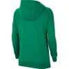 Sieviešu Sporta Krekls ar Kapuci Nike PARK TEAM HOODIE CW6957 302 Zaļš