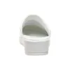 Klumpės Scholl Clog Backguard Balta