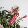 Food Supplement Naturtint FORTALEZA 125 ml — Buy Online | Perfume Bright Lab