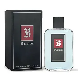 Habemeajamisjärgne Puig Brummel 250 ml Mehed