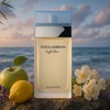 Dolce & Gabbana Light Blue Eau De Toilette 25 ml (naine)