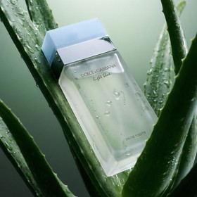 Dolce & Gabbana Light Blue Eau De Toilette 50 ml (naine)