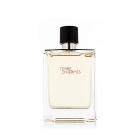 Hermès Terre D'Hermès Eau De Tualete 100 ml (cilvēks)