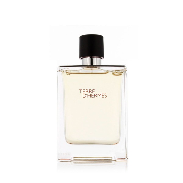 Hermès Terre D'Hermès Eau De Tualete 100 ml (cilvēks)