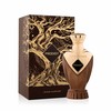 Paris Corner Prodigy Eau De Parfum 100 ml (unisex)