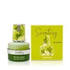 Armaf Scentasy Matcha Magix Eau De Parfum 100 мл
