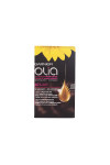 Garnier Olia Permanent Coloring 4,0 Brown