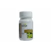 Sotya Ginkgo Biloba 100 Comp
