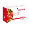 Eladiet Gayuba 60 Comp De 330 Mg