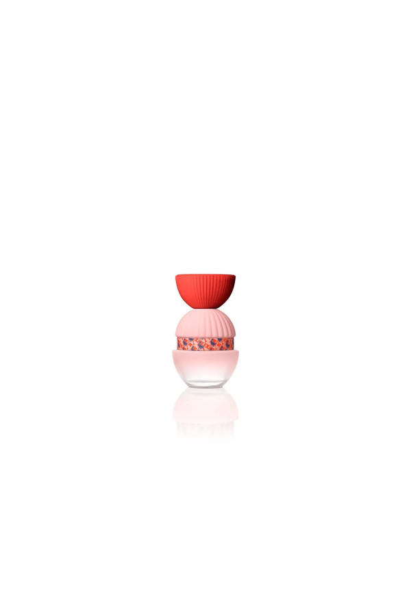 El Ganso Fun y Chic Edp 100 Spray