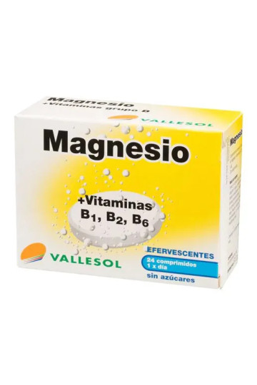 Vallesol Effervescent Magnesium B 24comp