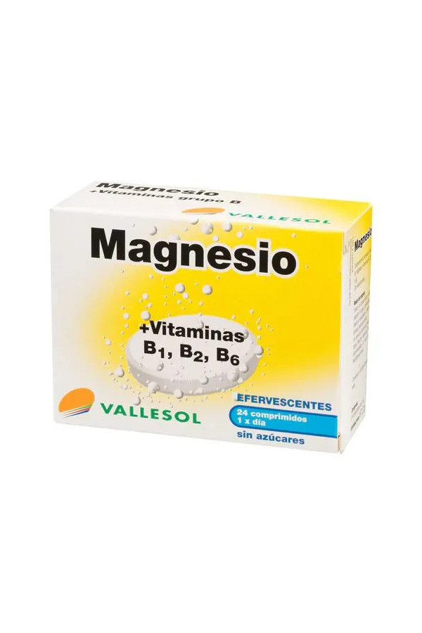 Vallesol Effervescent Magnesium B 24comp