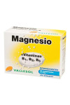 Vallesol Effervescent Magnesium B 24comp
