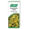 Vogel Solidago Complex 60 Comp