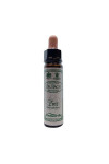 Santiveri Bach Pine 10ml