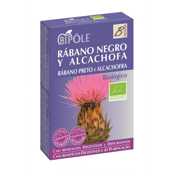 Intersa Bipole Rabano Negro-Alcachofa