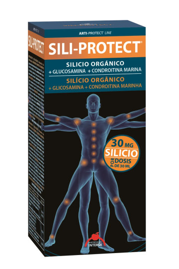 Intersa Sili-Protect 500ml