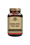 Solgar Choline 350mg 100 Capsules