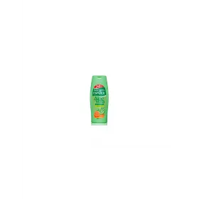 Instituto Español Gel De Baño Aloe Vera 250ml