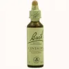 Bach 04 Centaury 20ml