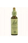 Bach 04 Centaury 20ml
