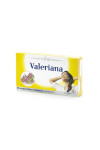 Roha Valerian 40 Tablets