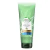 Bio:Renew Potent Aloe & Bamboo Conditioner 275ml