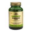 Solgar Spf Echinacea Extract 60 Capsules