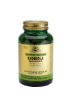 Solgar Spf Rhodiola Root 60 Capsules