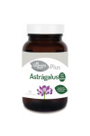 Granero S Astragalus 625 Mg 60 Comp
