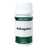 Equisalud Holofit Astragalus 50 Cap