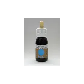 Bellsola Aceite Chiapas 60ml