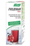 Vogel Molkosan Fruit 200ml