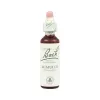 Bach 20 Mimulus 20ml