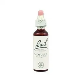 Bach 06 Cherry Plum 20ml