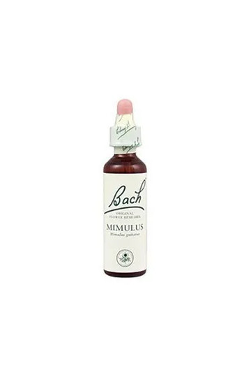Bach 06 Cherry Plum 20ml