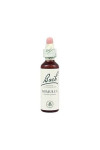 Bach 06 Cherry Plum 20ml